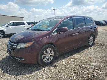  Salvage Honda Odyssey