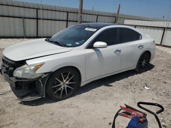  Salvage Nissan Maxima