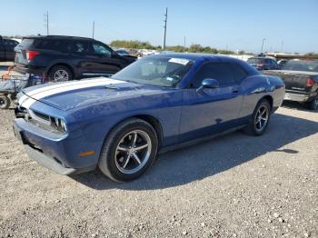  Salvage Dodge Challenger