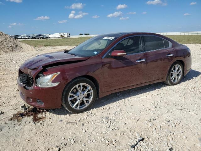  Salvage Nissan Maxima