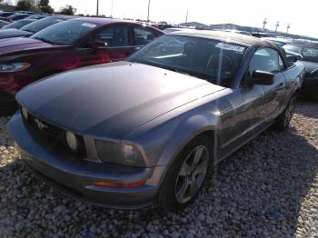  Salvage Ford Mustang