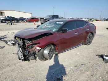  Salvage Nissan Maxima