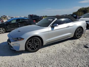  Salvage Ford Mustang