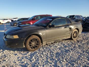  Salvage Ford Mustang