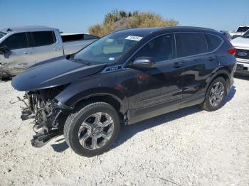  Salvage Honda Crv