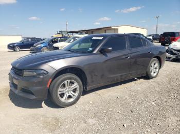  Salvage Dodge Charger