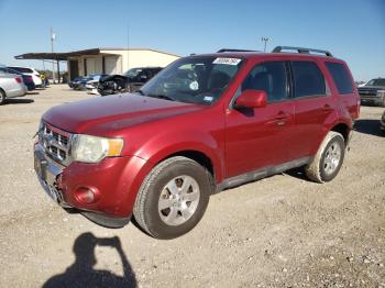  Salvage Ford Escape