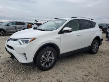  Salvage Toyota RAV4