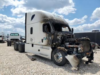  Salvage Freightliner Cascadia 1