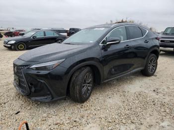  Salvage Lexus NX