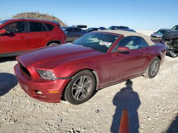  Salvage Ford Mustang