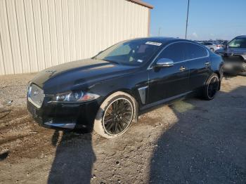  Salvage Jaguar XF