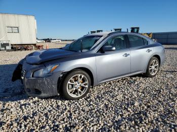  Salvage Nissan Maxima