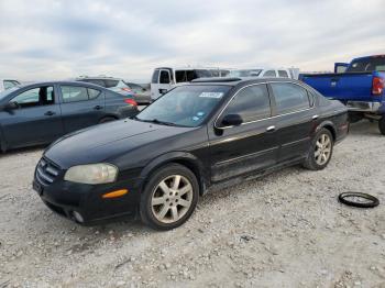  Salvage Nissan Maxima