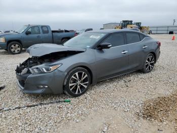  Salvage Nissan Maxima