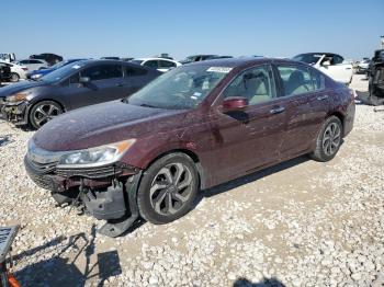  Salvage Honda Accord