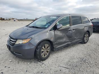  Salvage Honda Odyssey