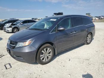  Salvage Honda Odyssey