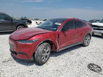  Salvage Ford Mustang