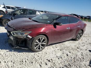  Salvage Nissan Maxima