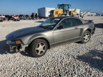  Salvage Ford Mustang
