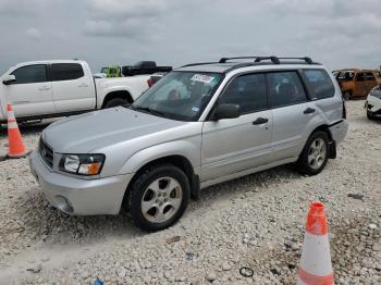  Salvage Subaru Forester