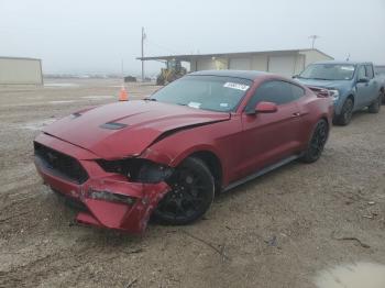  Salvage Ford Mustang