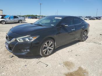  Salvage Nissan Maxima