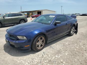  Salvage Ford Mustang