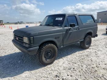  Salvage Ford Bronco