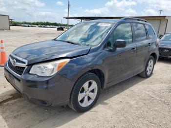  Salvage Subaru Forester