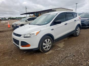  Salvage Ford Escape