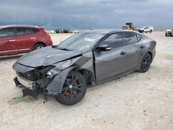  Salvage Nissan Maxima