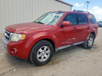  Salvage Ford Escape