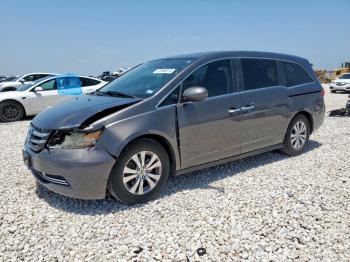  Salvage Honda Odyssey