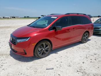  Salvage Honda Odyssey