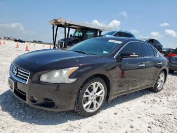  Salvage Nissan Maxima