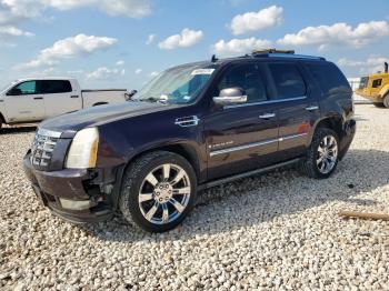  Salvage Cadillac Escalade