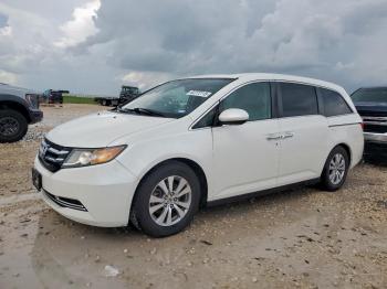  Salvage Honda Odyssey
