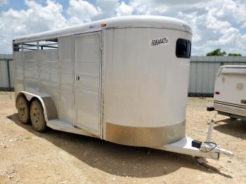  Salvage Calico Horse Trl