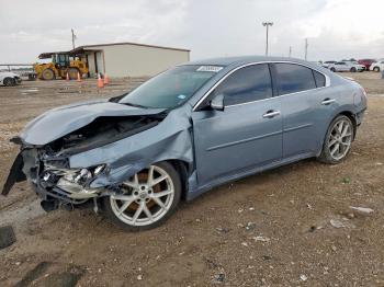  Salvage Nissan Maxima