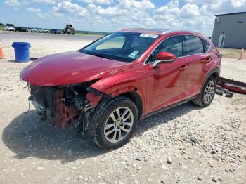  Salvage Lexus NX
