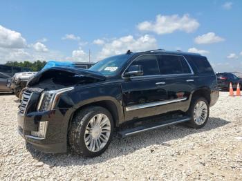  Salvage Cadillac Escalade