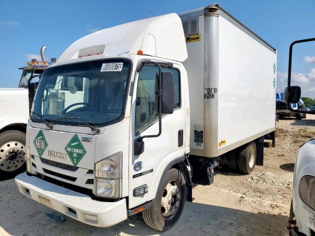  Salvage Isuzu Nqr