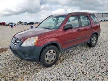  Salvage Honda Crv
