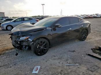  Salvage Nissan Maxima