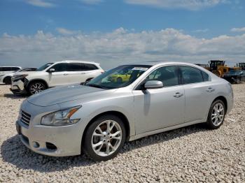  Salvage Nissan Maxima
