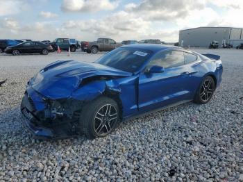  Salvage Ford Mustang