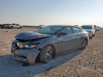  Salvage Nissan Maxima