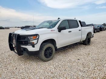  Salvage Chevrolet Silverado K1500 Trail Bos
